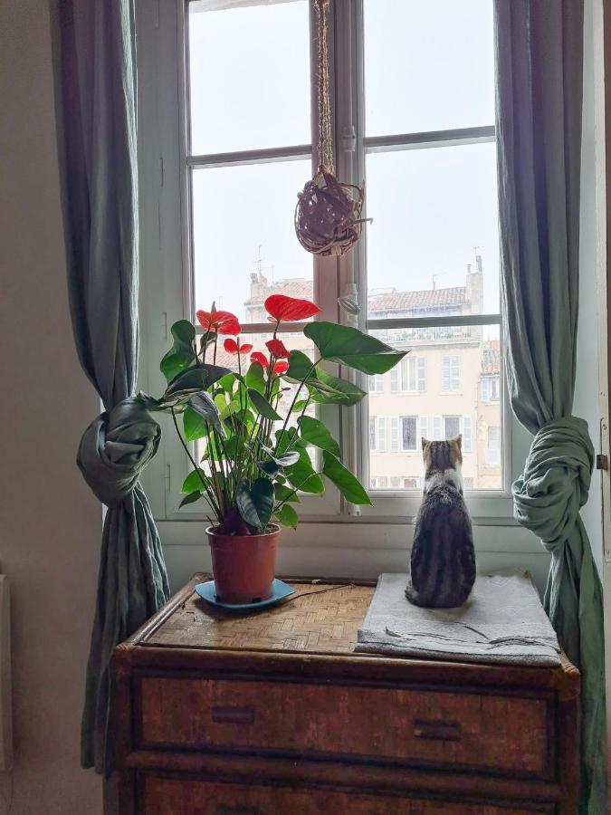 Jolie Chambre Dans Appartement Cosy En Plein Centre Μασσαλία Εξωτερικό φωτογραφία